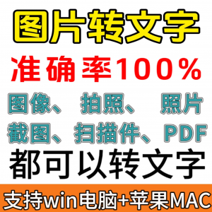 图像图片照片拍照扫描件格式转文字采集转换word转成ppt提取excel-淘宝虚拟仓